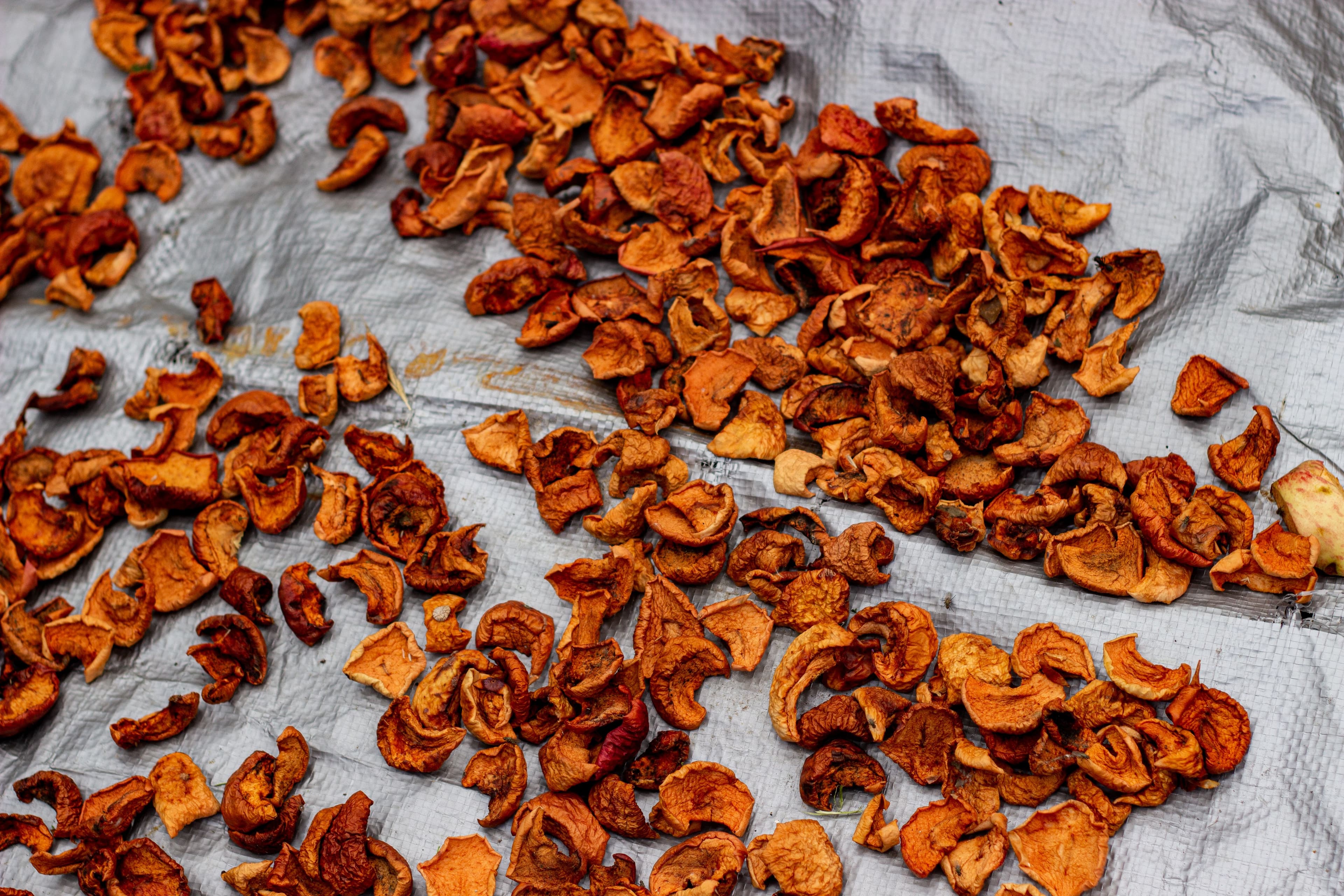 Dried apple slices and apple chips fruit side