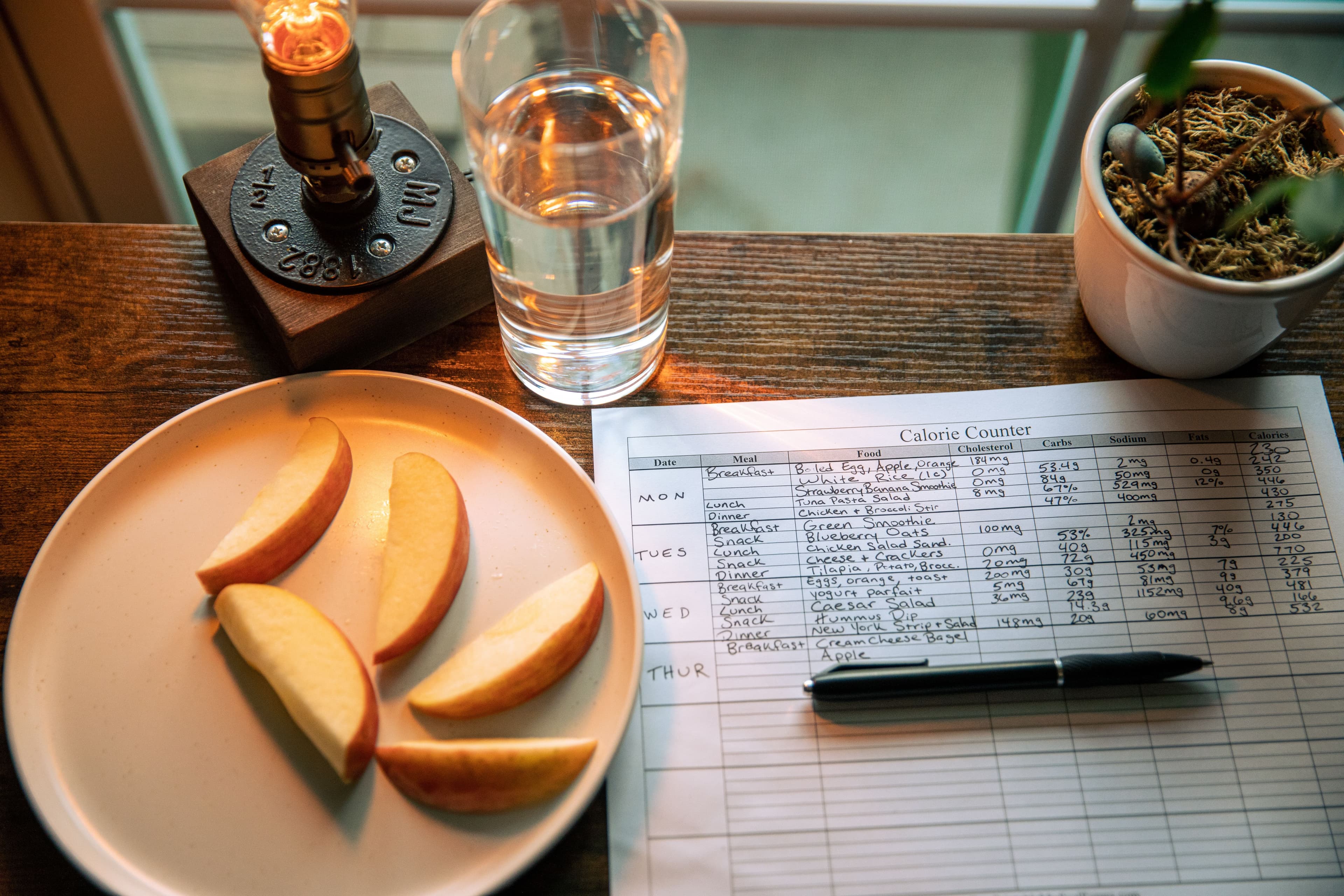 Best Meal Planning
